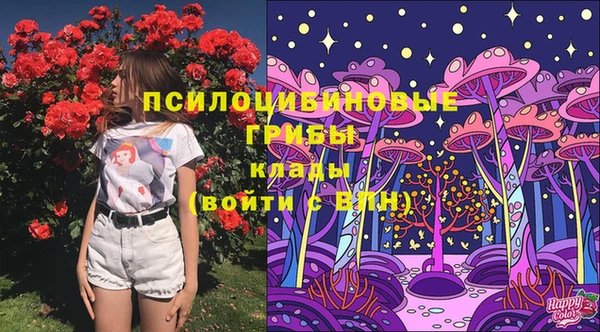 винт Богородск