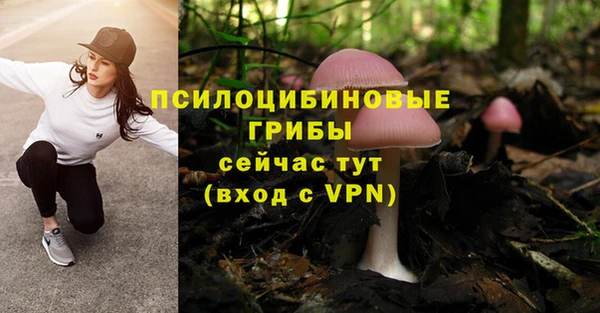 гашишное масло Богородицк
