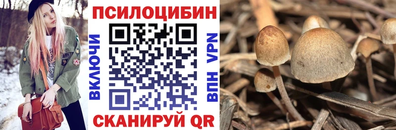 где можно купить   Каспийск  Галлюциногенные грибы мухоморы 